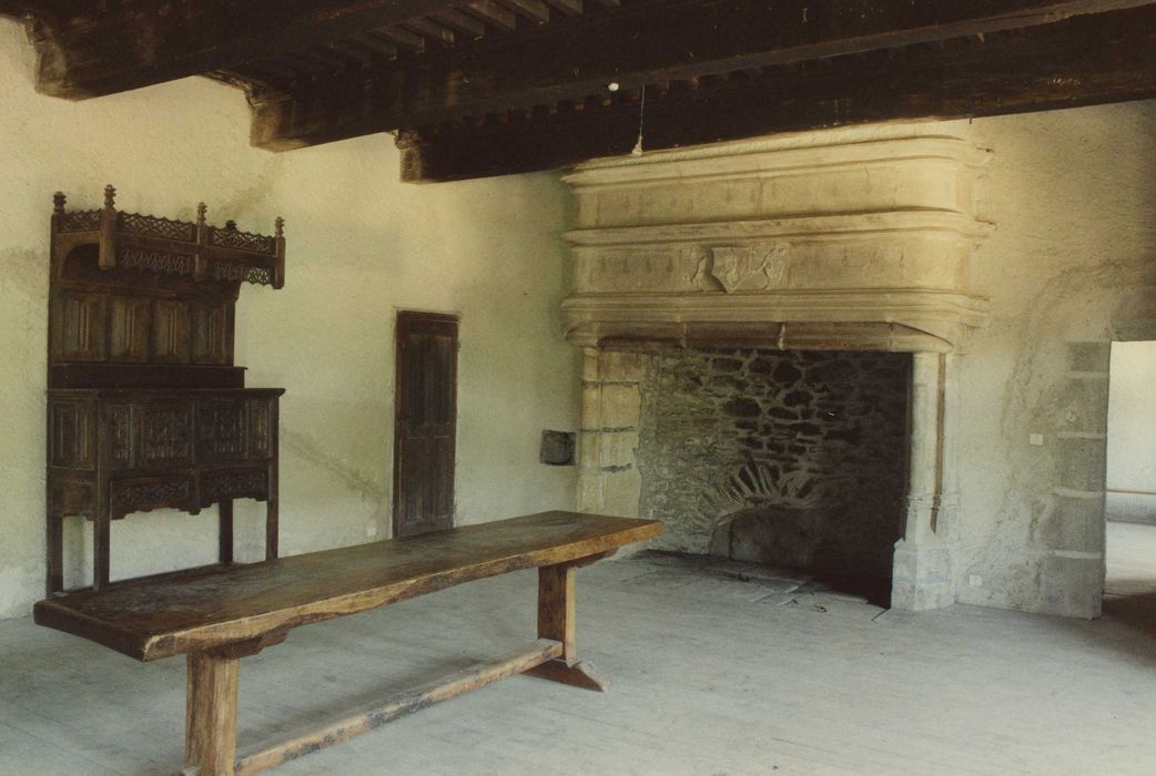 Château fort de Vieillevie : 1er étage, grande salle, cheminée monumentale, vue générale