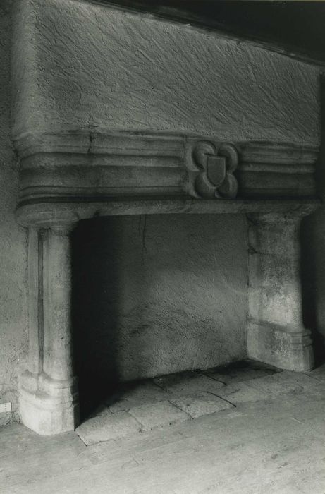 Château fort de Vieillevie : 1er étage, petite salle, cheminée monumentale, vue générale