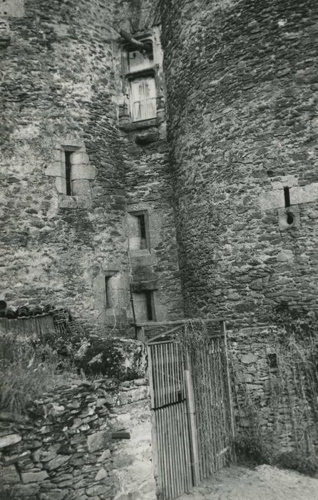 Château fort de Vieillevie : Façade sud, vue partielle