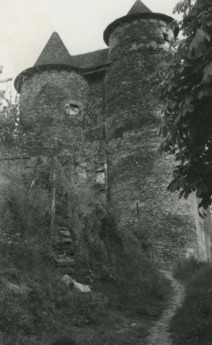 Château fort de Vieillevie : Façade sud, vue partielle