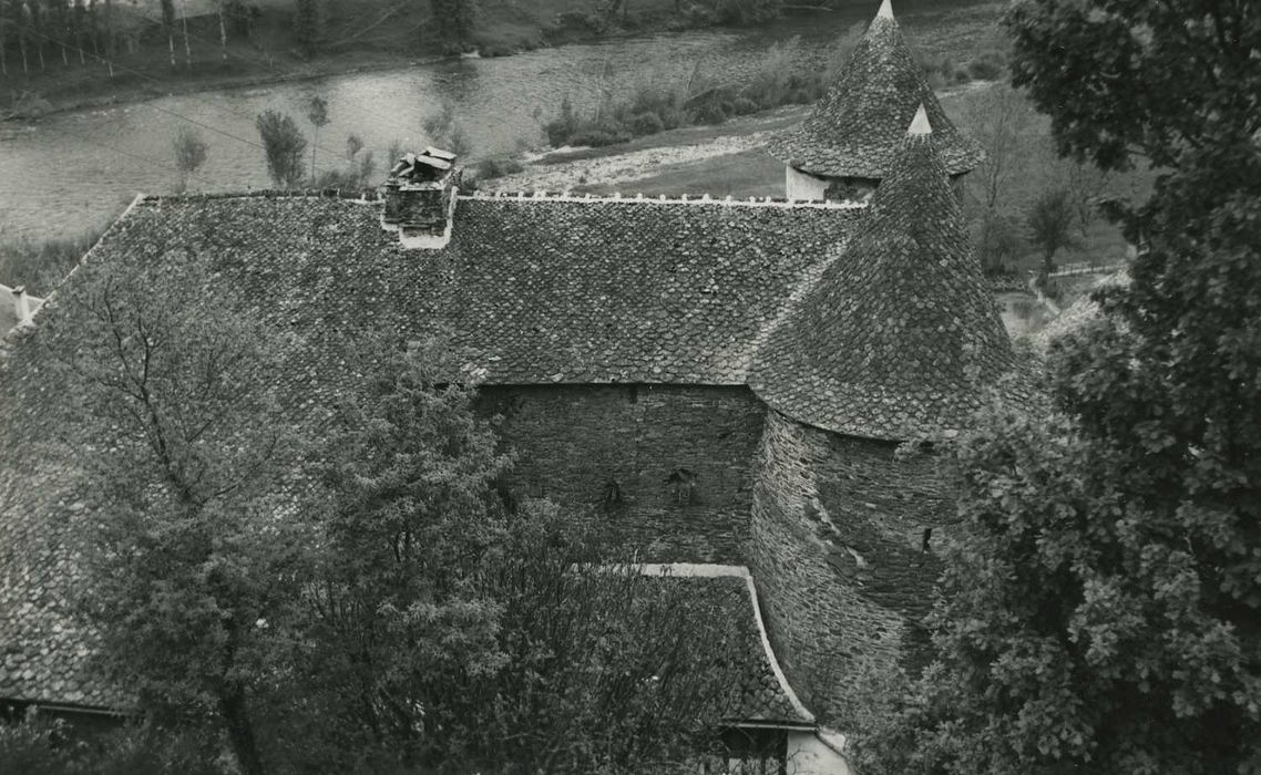 Château fort de Vieillevie : Vue générale des toitures, versant nord