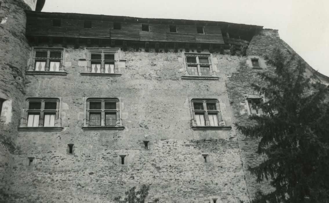 Château fort de Vieillevie : Façade sud, vue partielle