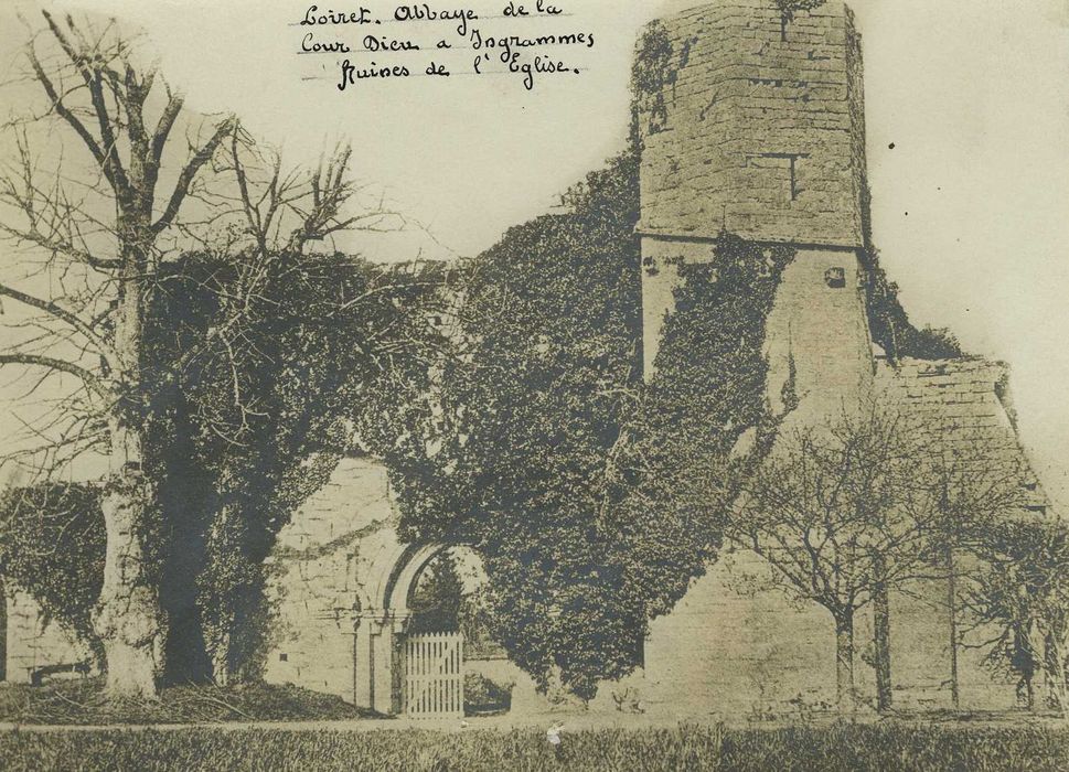 Ancienne abbaye de Notre-Dame de la Cour-Dieu : Vue générale des ruines de l’église abbatiale