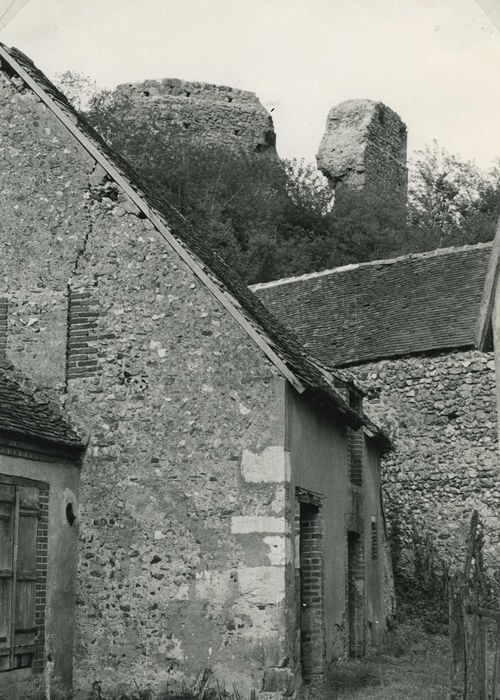 Ruines du donjon de la Motte : Vue partielle des ruines