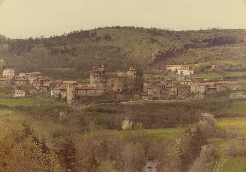 Château et son enceinte : Vue générale du château dans son environnement depuis le sud