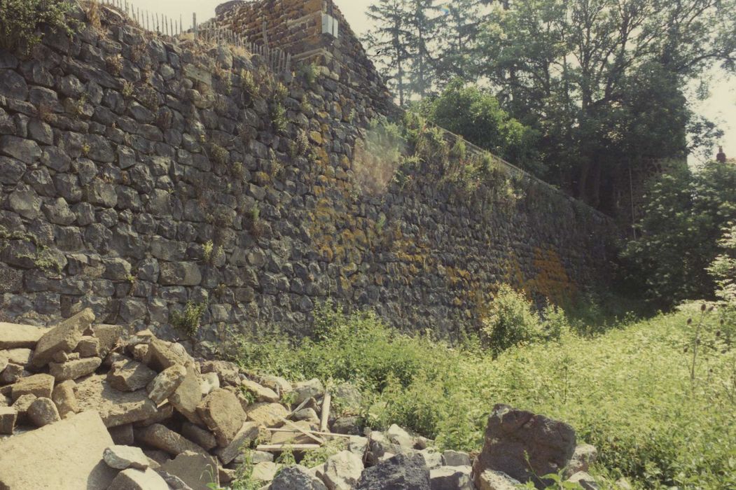 Château et son enceinte : Courtine sud, vue générale