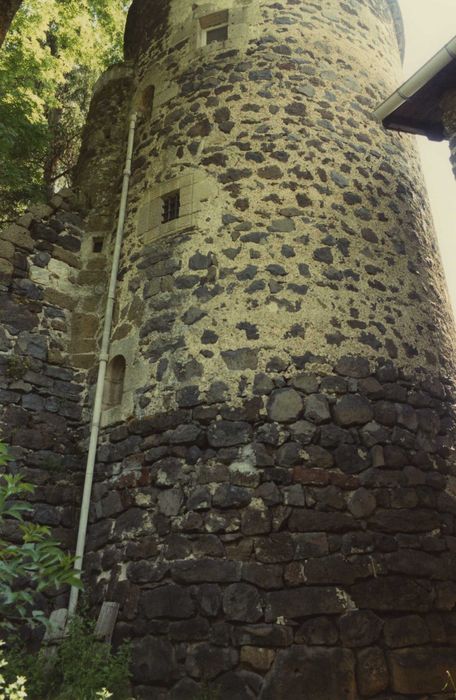 Château et son enceinte : Tour sud-est, vue partielle