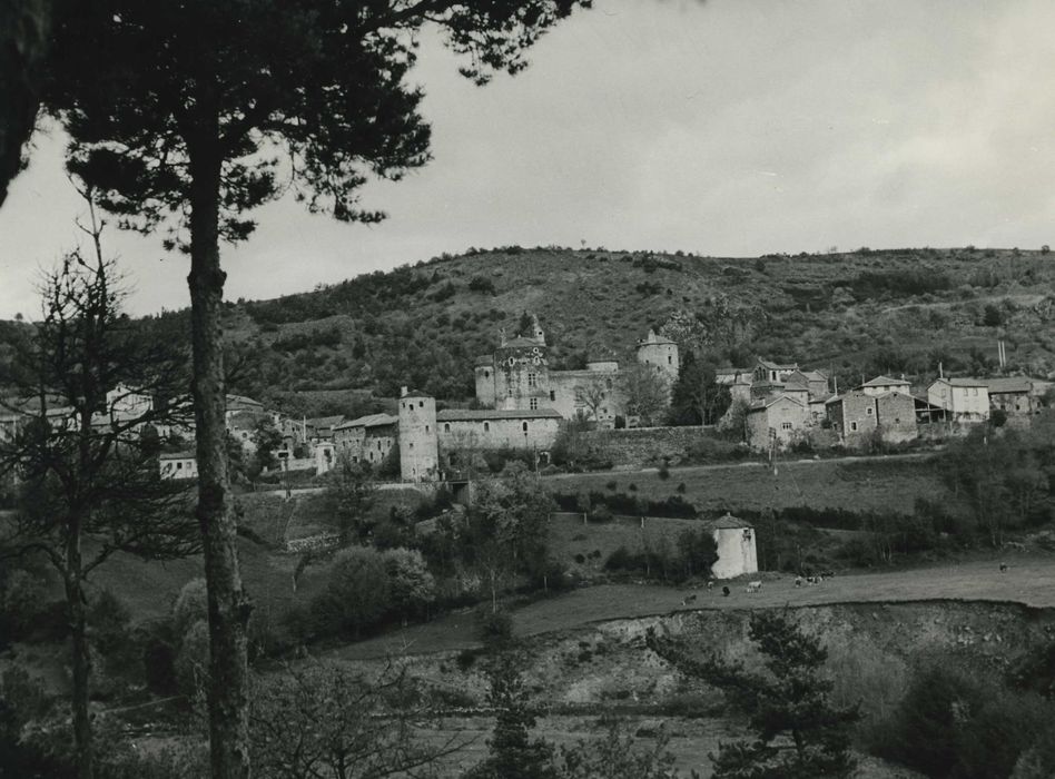 Château et son enceinte : Vue générale du château dans son environnement depuis le sud