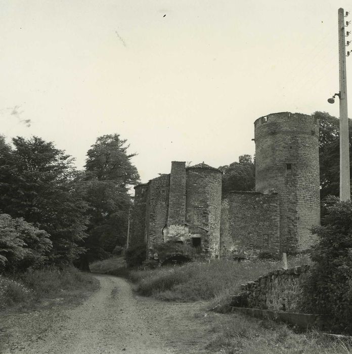 Château de Mercoeur : Vue générale du château dans son environnement depuis le nord