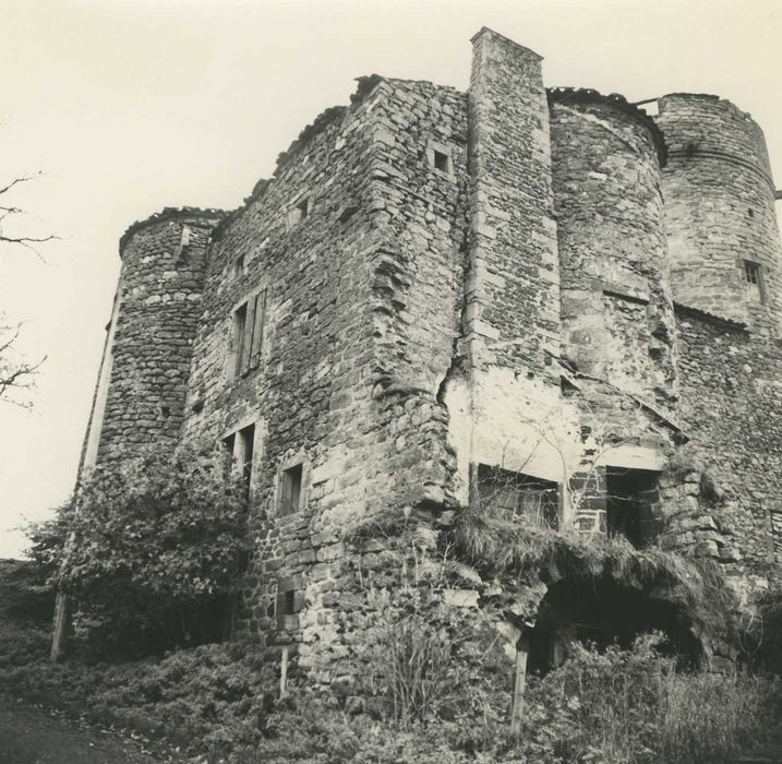 Château de Mercoeur : Façades nord et est, vue générale