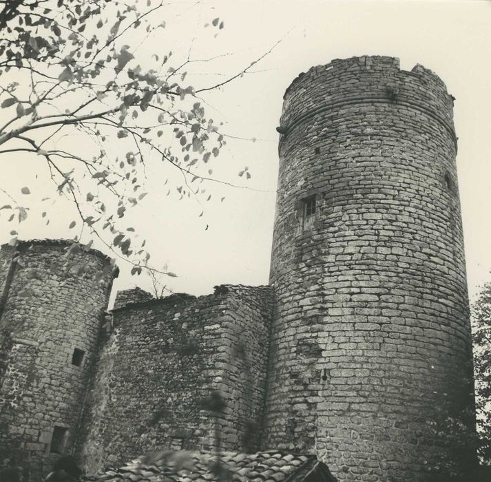 Château de Mercoeur : Ensemble ouest, vue générale