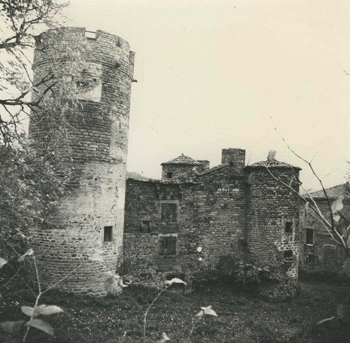 Château de Mercoeur : Ensemble sud, vue générale