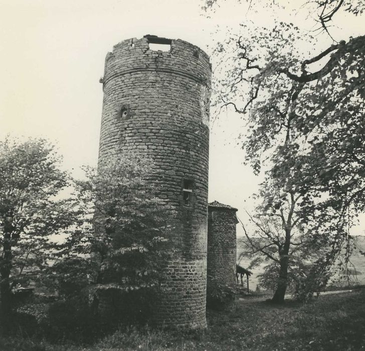 Château de Mercoeur : Tour sud-ouest, vue générale