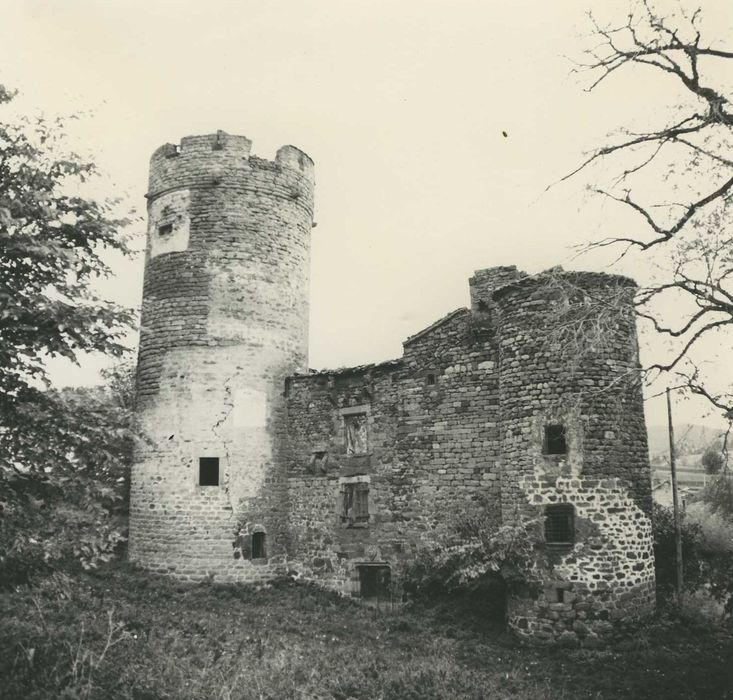 Château de Mercoeur : Ensemble sud, vue générale