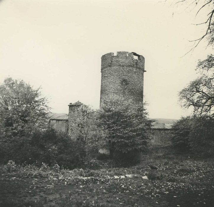 Château de Mercoeur : Ensemble ouest, vue partielle