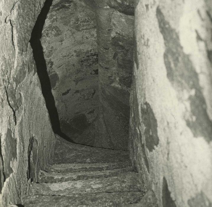 Château de Mercoeur : Donjon, escalier, vue partielle