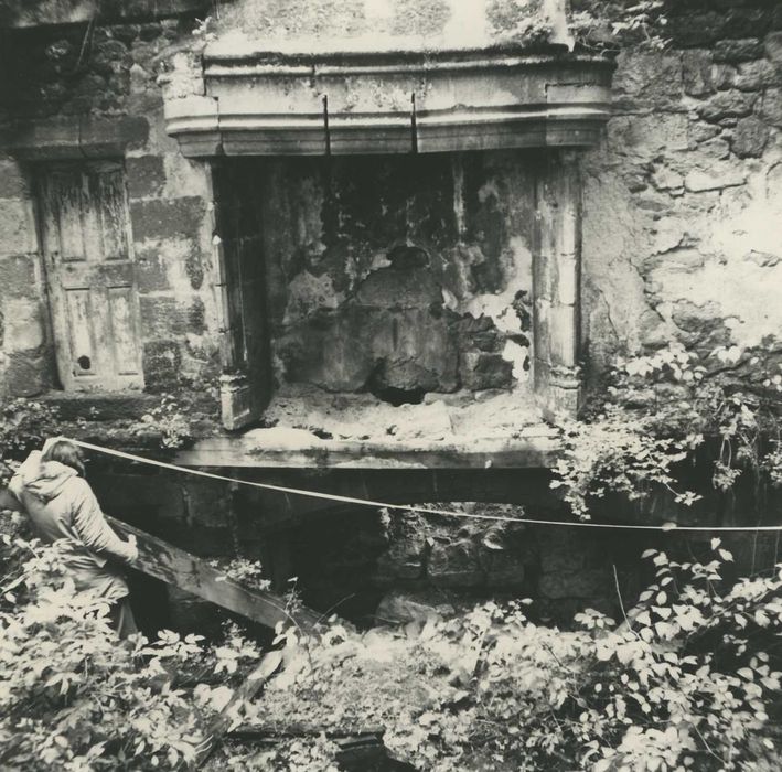 Château de Mercoeur : Cheminée monumentale, vue générale