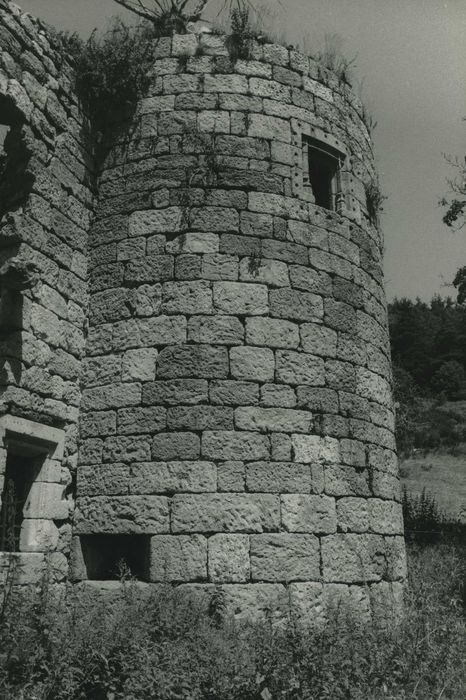 Château de Soubreys : Tour nord-est, vue générale