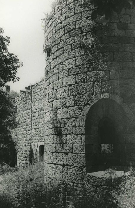 Château de Soubreys : Tour nord-est, vue partielle