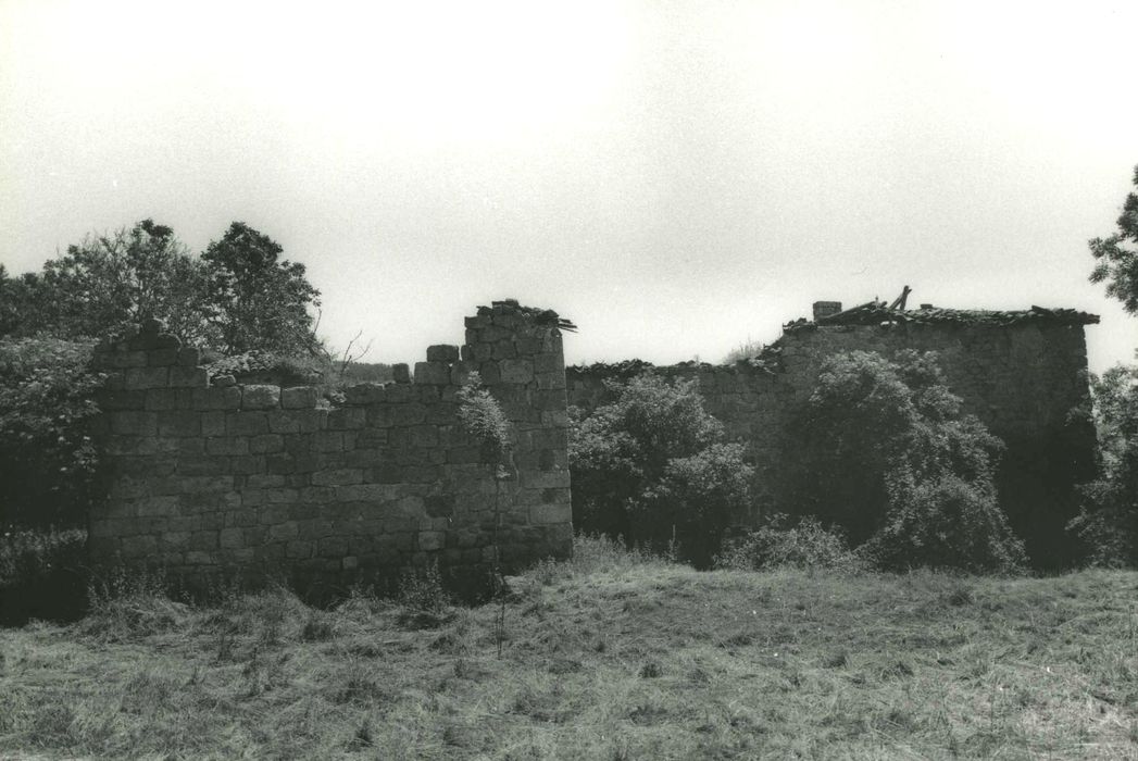 Château de Soubreys : Vue générale des ruines depuis l’ouest