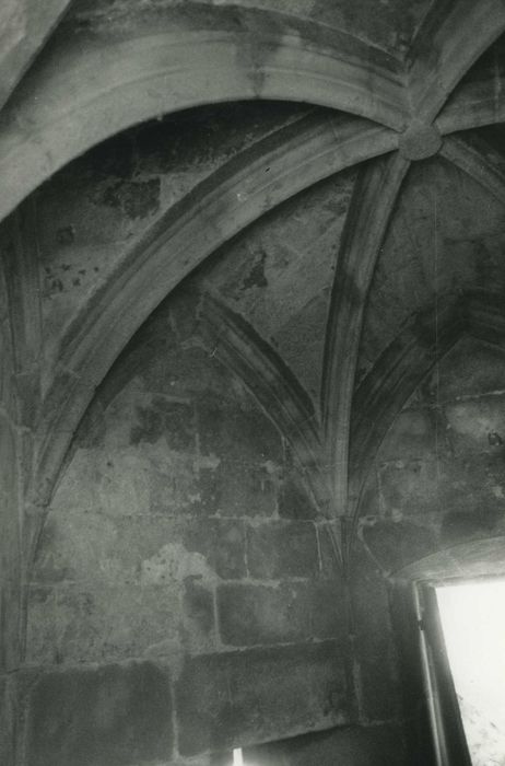 Château de Soubreys : Tour nord-est, chapelle, vue partielle de la voûte