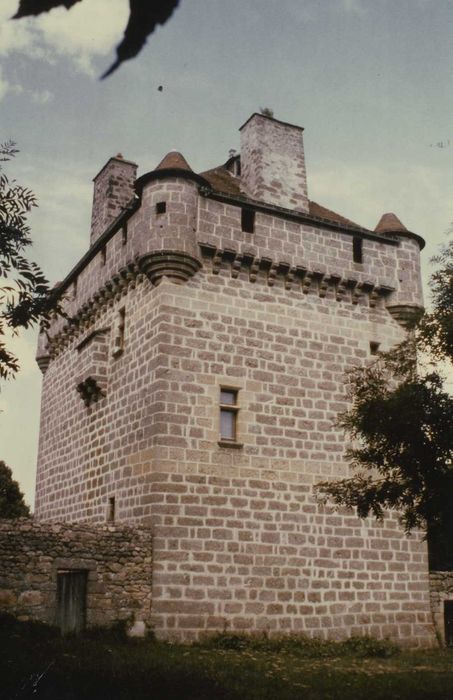 Château d'Ombret : Façades sud et ouest, vue générale