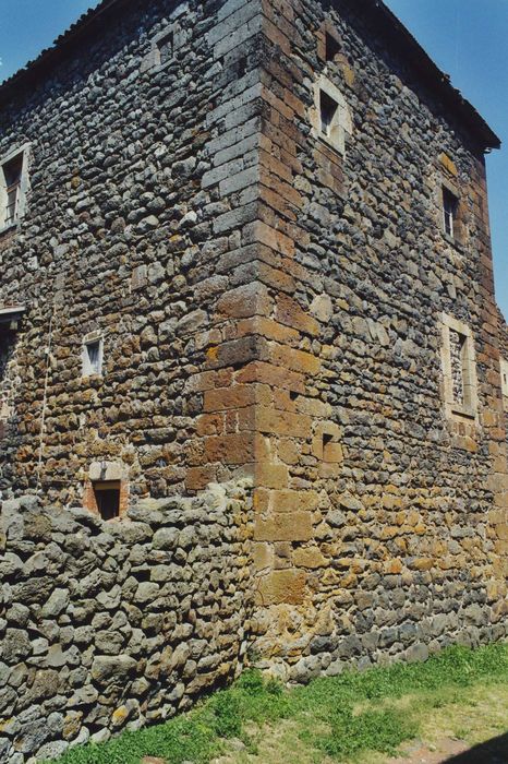 Château de Séneujols : Donjon, façades sud et ouest, vue partielle