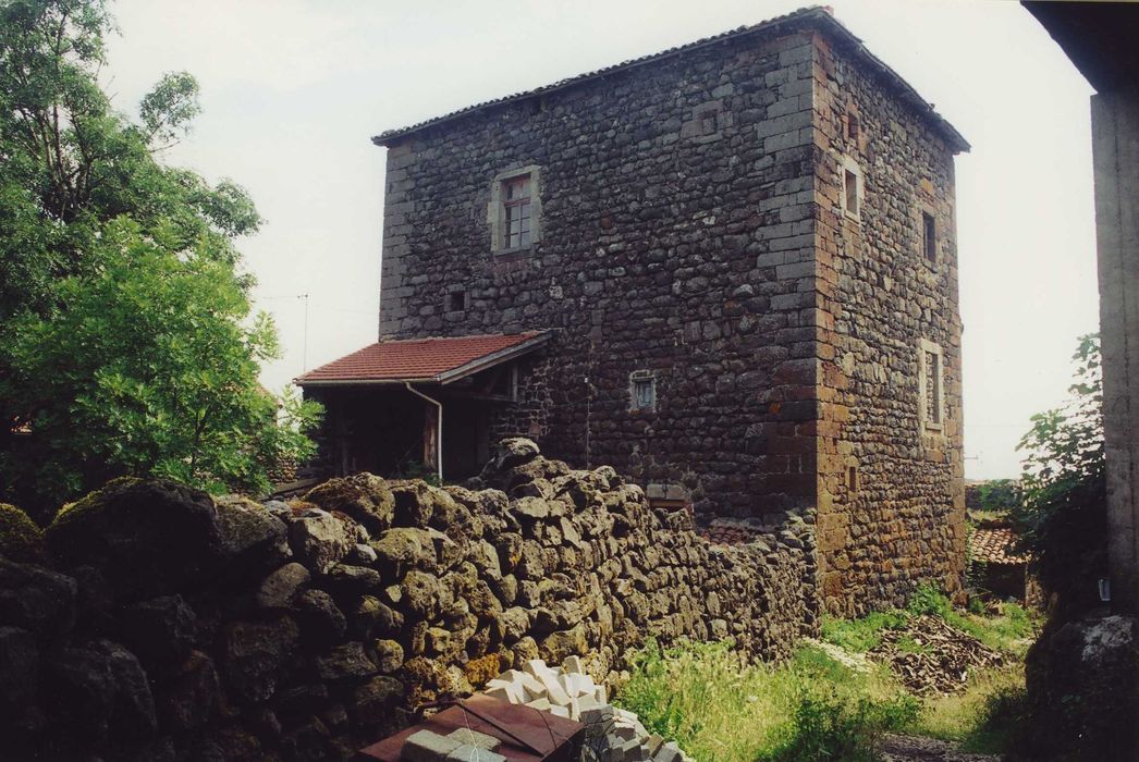 Château de Séneujols : Donjon, ensemble sud et ouest, vue générale