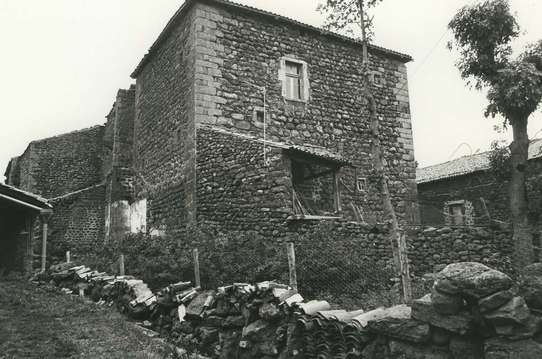 Château de Séneujols : Donjon, ensemble nord-ouest, vue générale