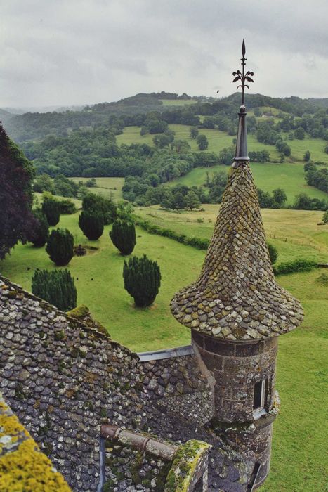 Château de Mazerolles : Toiture, détail de l’échauguette sud