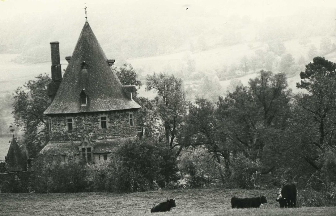 Château de Mazerolles : Ensemble nord, vue partielle