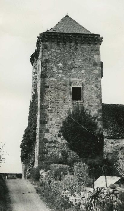 Tour de Chavaniac : Elévation sud, vue générale