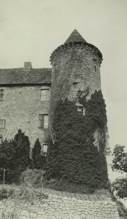 Château : Tour nord-est, vue générale