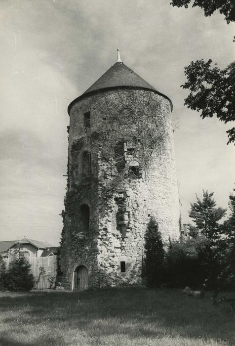 Tour de l'ancienne enceinte fortifiée : Elévation ouest, vue générale