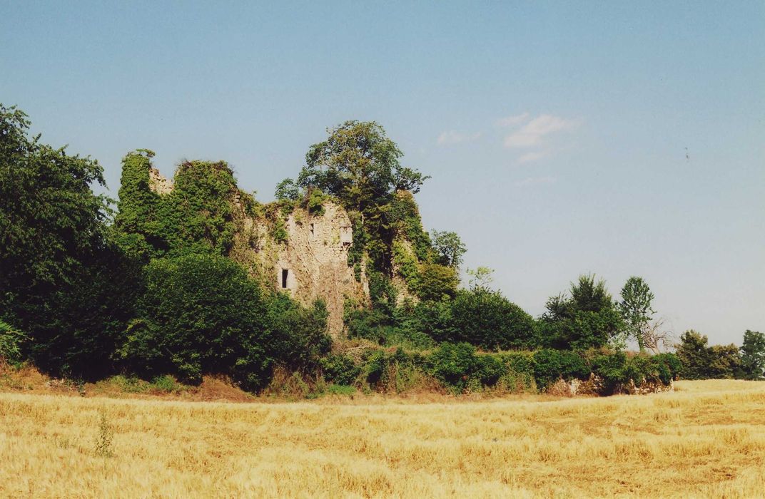 Château fort de Naucase ou Naucaze : Ensemble est, vue générale