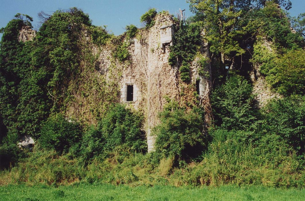 Château fort de Naucase ou Naucaze : Façade est, vue générale