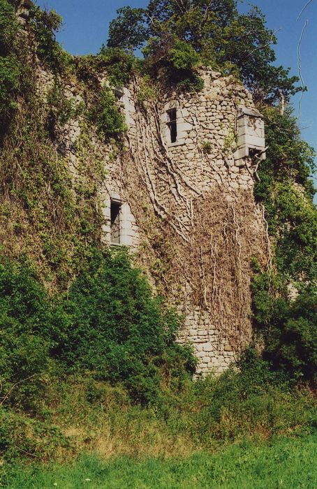 Château fort de Naucase ou Naucaze : Façade est, tour à bretèche, vue générale