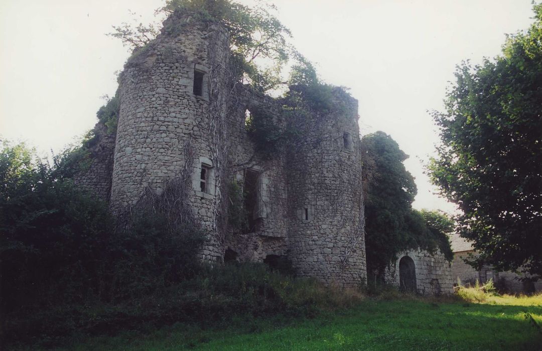 Château fort de Naucase ou Naucaze : Façade ouest, vue générale