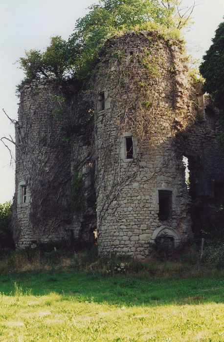 Château fort de Naucase ou Naucaze : Tours ouest, vue générale