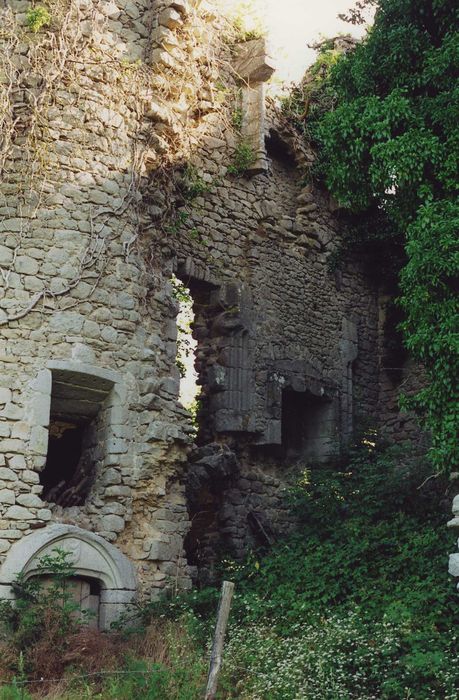 Château fort de Naucase ou Naucaze : Intérieur du logis, vue partielle des ruines