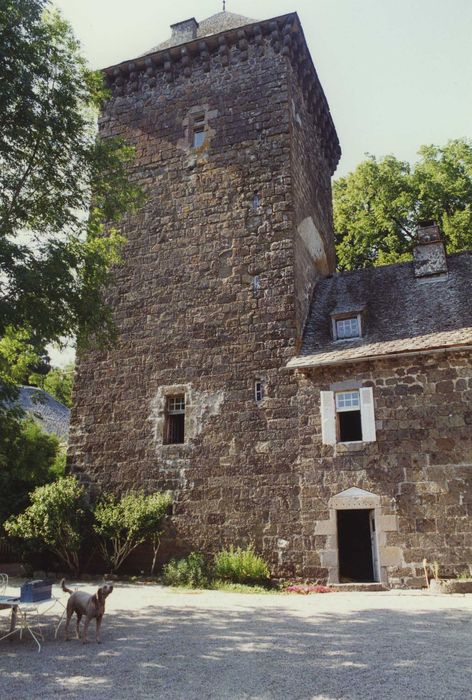 Château de Lescure : Donjon, élévations sud et est, vue générale