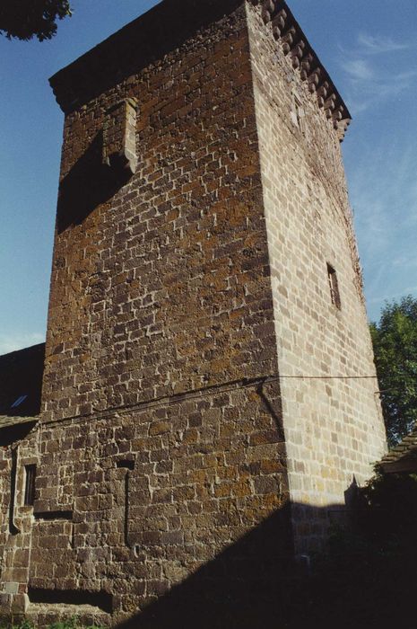 Château de Lescure : Donjon, élévations nord et ouest, vue générale