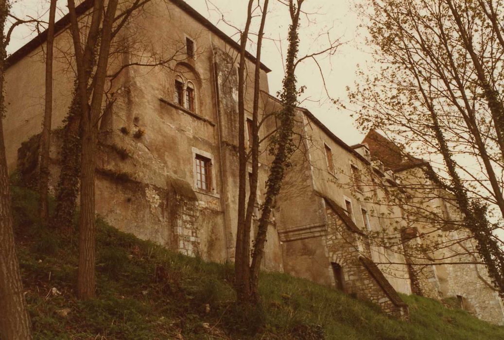 Château-Naillac, dit Vieux Château : Ensemble nord-est, vue générale