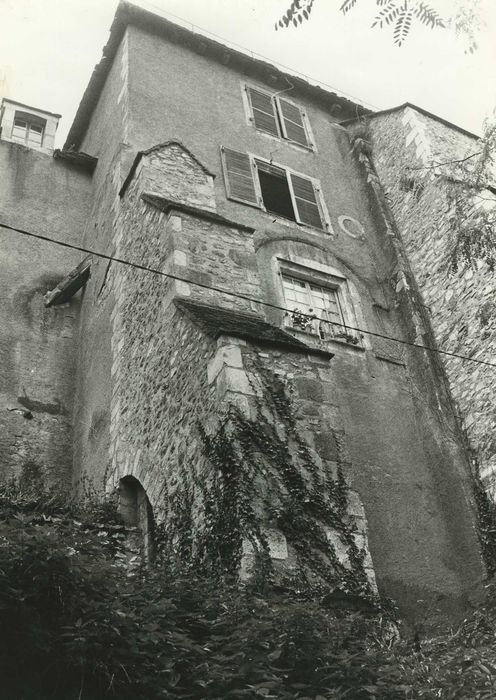 Château-Naillac, dit Vieux Château : Donjon nord, élévation nord-est, vue générale