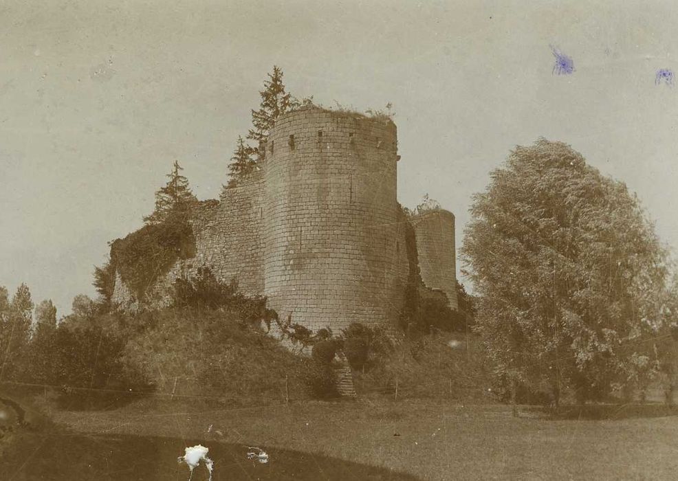 Vestiges du château de Bourg-le-Château : Vue générale des ruines