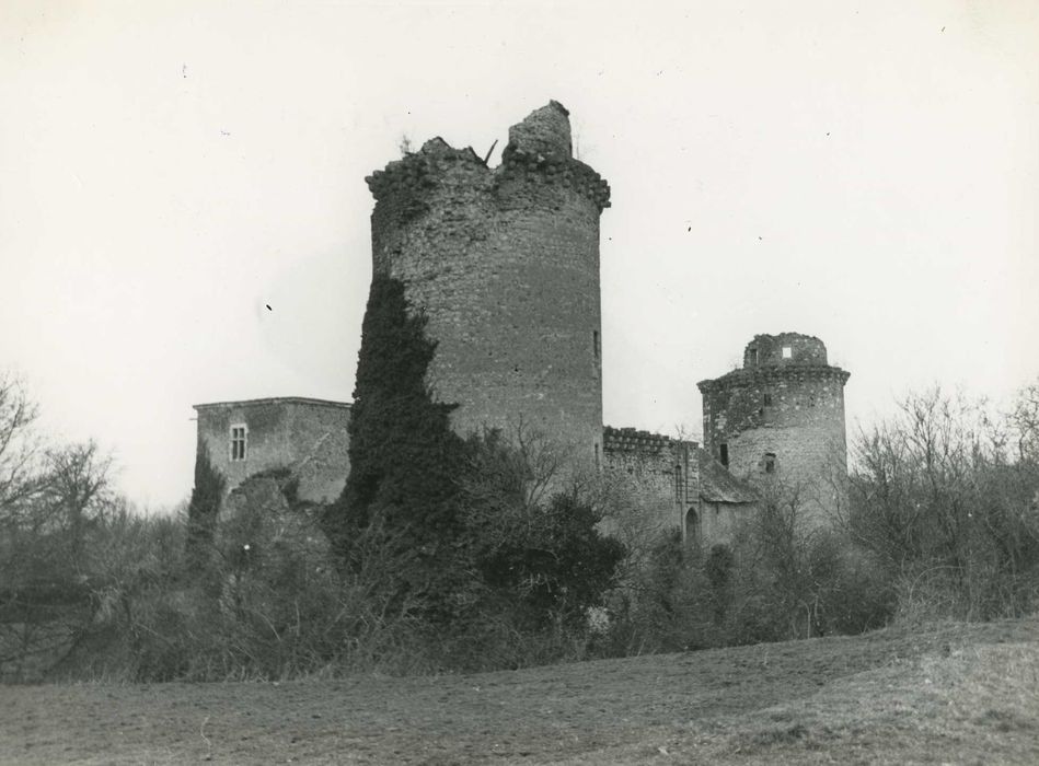 Château de la Prune-au-Pot : Ensemble sud-est, vue générale