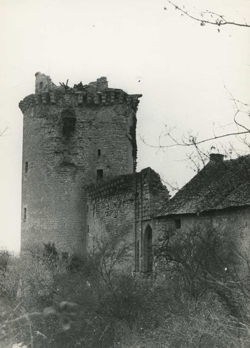 Château de la Prune-au-Pot : Tour de la Fontaine et poterne, vue générale