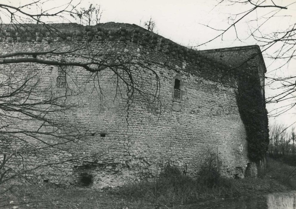 Château de la Prune-au-Pot : Murs d’enceinte nord et ouest, vuegénérale