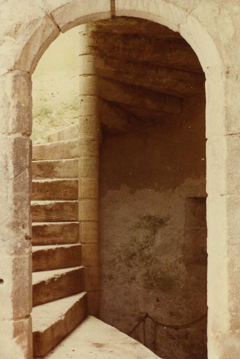 Ancien prieuré de Saint-Martin-de-Vertou, dit Maison du Bailli : Escalier à vis, vue partielle