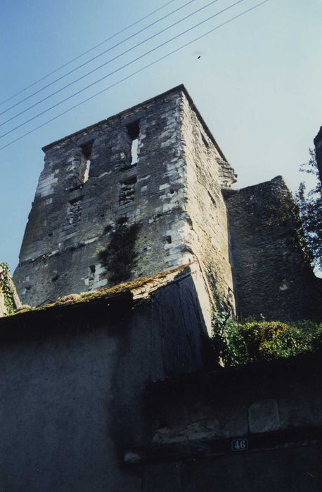 Ensemble castral : Tour carrée, façade nord, vue générale